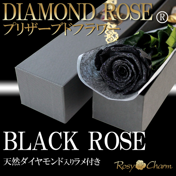 黒い薔薇1本